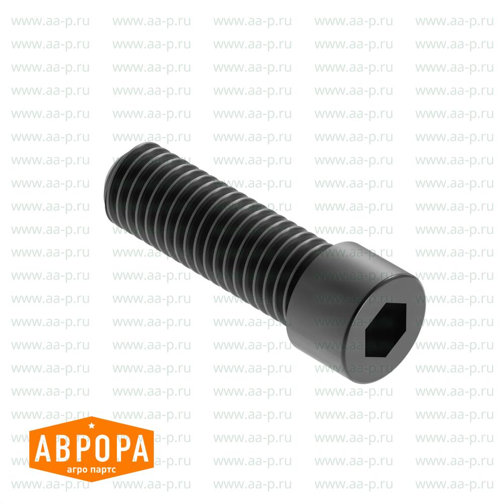 CC48250 ВИНТ  С  ГОЛОВКОЙ